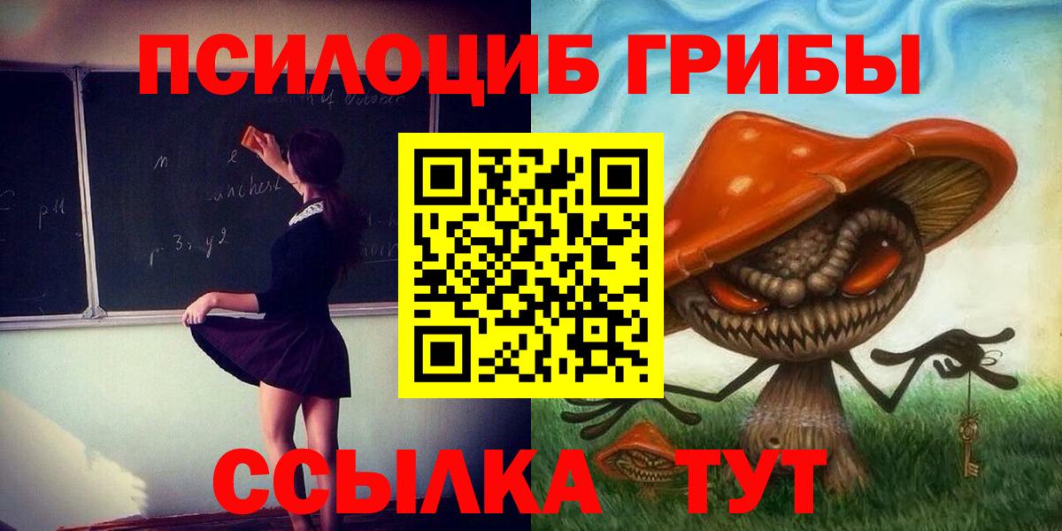 Псилоцибиновые грибы Psilocybe Азов