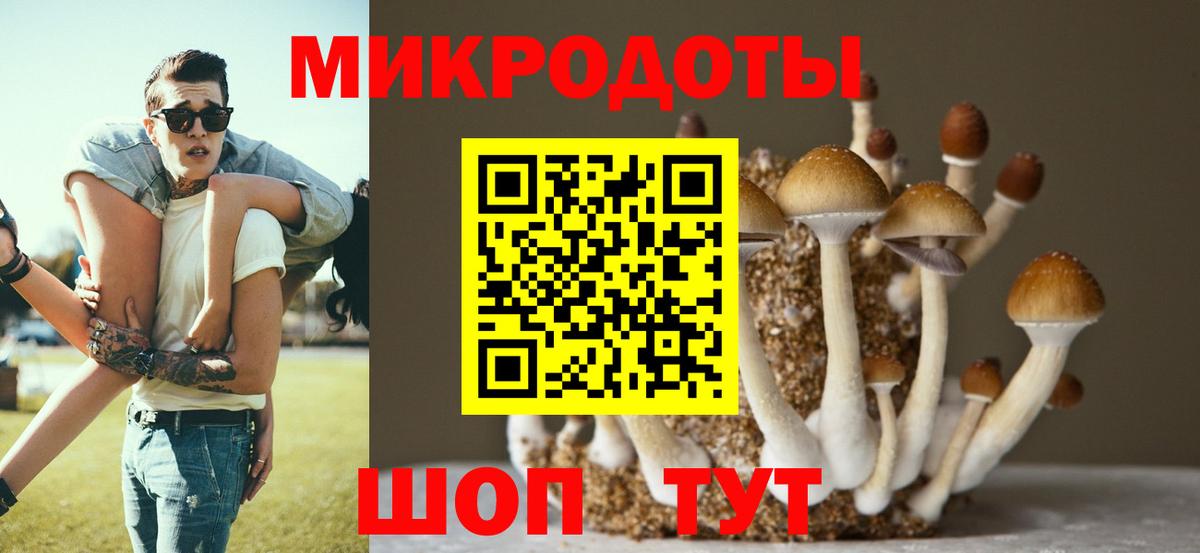 Псилоцибиновые грибы ЛСД  Галлюциногенные грибы ЛСД  Азов  наркота  Вход с VPN 